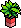 Red Base Plant