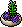 Purple Succulent Plant