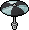 Rare Black Parasol