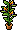 Strelitzia Plant