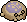 Lavender Desert Rain Frog