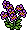 Purple Orchids