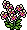 Orchid Plant
