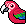 Red Macaw