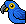 Blue Macaw
