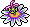 Passion Flower Plant