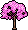 Lapacho Tree