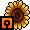 Sunflower Plant