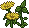 hween_c25_weed1 name