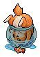 Kase Kedi Barry