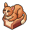 Somun Kedi Leon