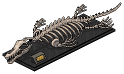 Mosasaur İskeleti