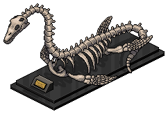 Plesiosaur İskeleti