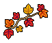 ducket_c25_autumndecor name