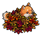 Sonbahar Shiba Inu