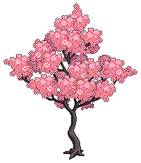 Sakura Mevsim Ağacı
