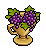 olympus_c25_grapes name