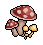 sc25_shrooms name