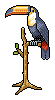 Tiki Toucan