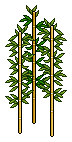 Harmoni Bahçe Bambu 